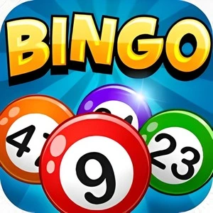 Bingo Casino Online App